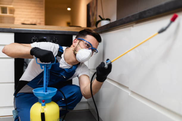 Best Rat Extermination Near Me  in Maquoketa, IA