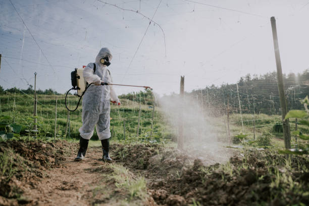 Best Mosquito Control Services  in Maquoketa, IA