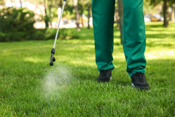 Best Flea Control Services  in Maquoketa, IA