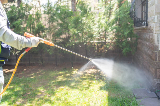 Best Pest Removal Services  in Maquoketa, IA