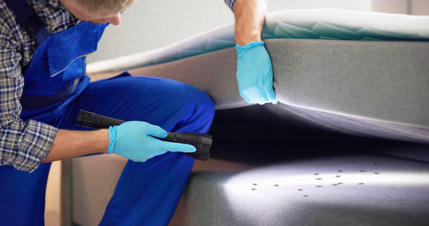 Reliable Maquoketa, IA Pest Control Solutions