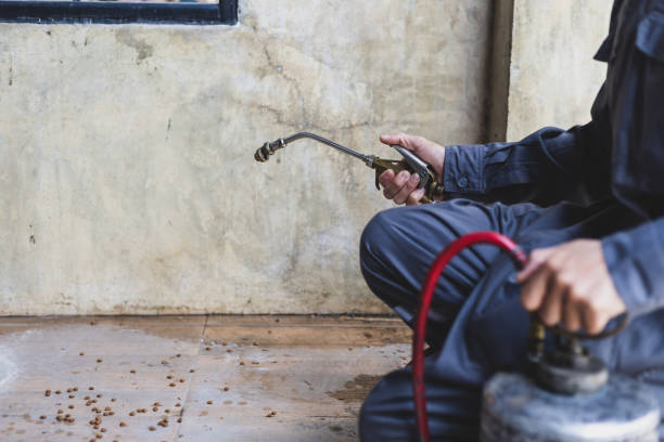Best Pest Removal Services  in Maquoketa, IA