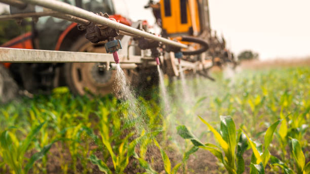 Best Commercial Pest Control Services  in Maquoketa, IA