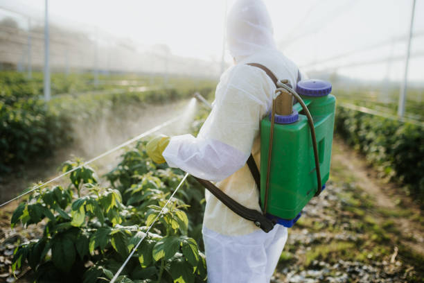 Best Pest Prevention Services  in Maquoketa, IA